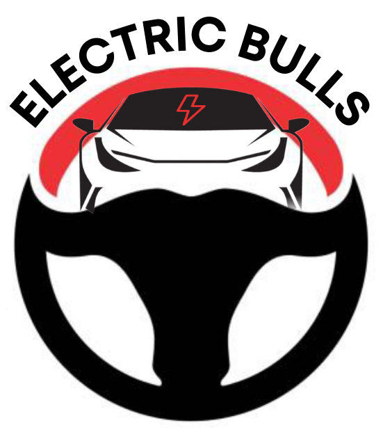 Εγγύηση Electric Bulls